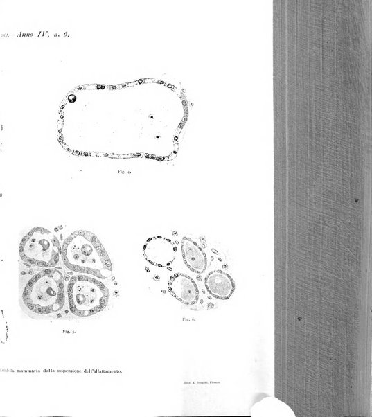 Rivista di clinica pediatrica