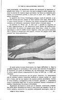 giornale/TO00194040/1914/unico/00001005