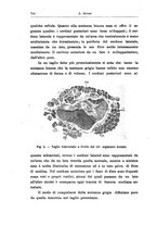 giornale/TO00194040/1921/unico/00000782