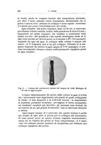 giornale/TO00194040/1924/unico/00000706