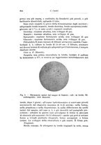 giornale/TO00194040/1924/unico/00000708