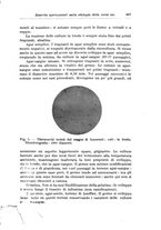 giornale/TO00194040/1924/unico/00000711