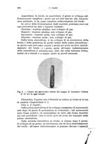 giornale/TO00194040/1924/unico/00000712