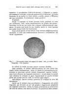 giornale/TO00194040/1924/unico/00000713