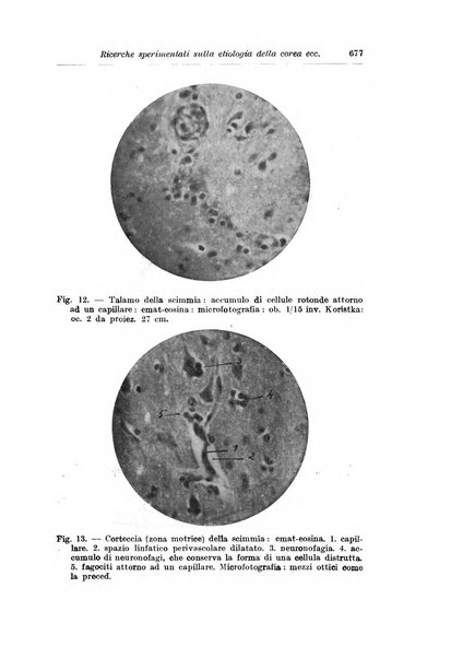 Rivista di clinica pediatrica