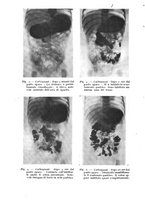 giornale/TO00194040/1942/unico/00000038