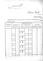 giornale/TO00194072/1882/unico/00000306