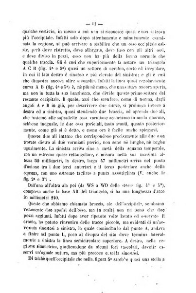 Rivista di discipline carcerarie in relazione con l'antropologia, col diritto penale, con la statistica