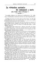 giornale/TO00194072/1907/unico/00000035