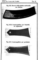 giornale/TO00194072/1907/unico/00000071