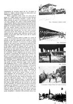 giornale/TO00194083/1934/unico/00000401