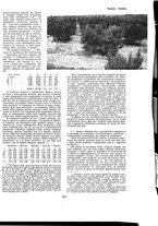 giornale/TO00194083/1935/unico/00000115