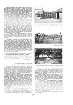 giornale/TO00194083/1935/unico/00000181