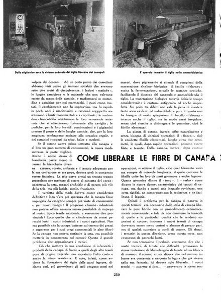 Rivista di Ferrara pubblicazione mensile a cura del Comune di Ferrara diretta da Nello Quilici