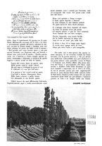 giornale/TO00194083/1935/unico/00000367