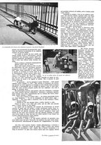 giornale/TO00194083/1935/unico/00000372