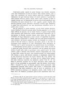 giornale/TO00194085/1905/V.1/00000107