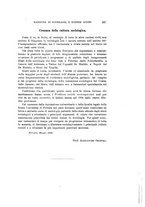 giornale/TO00194087/1900/V.1/00000549