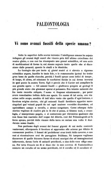 Rivista di Firenze e Bullettino delle arti del disegno pubblicazione mensile di scienze, di lettere e arti