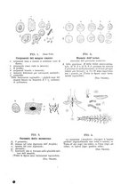 giornale/TO00194090/1900/V.1/00000123