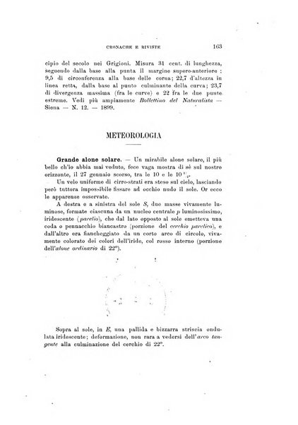 Rivista di fisica, matematica e scienze naturali