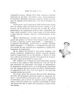 giornale/TO00194090/1906/V.2/00000027