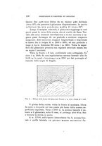 giornale/TO00194090/1907/V.1/00000222