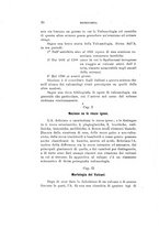 giornale/TO00194090/1907/V.2/00000078