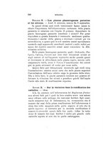 giornale/TO00194090/1907/V.2/00000416