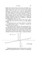 giornale/TO00194090/1909/V.2/00000035