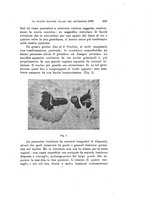 giornale/TO00194090/1909/V.2/00000391