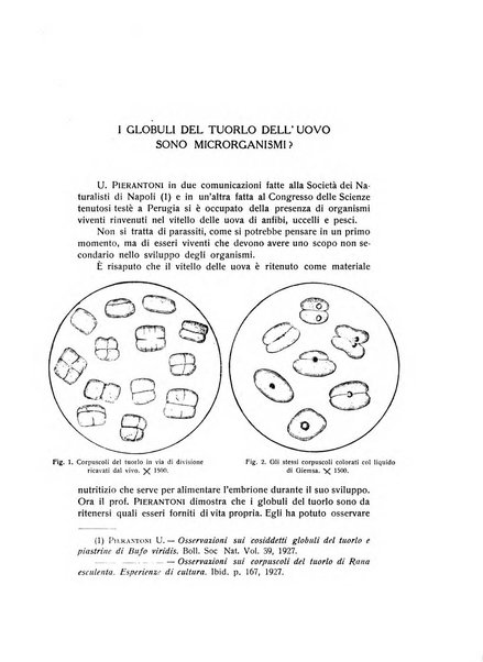 Rivista di fisica, matematica e scienze naturali