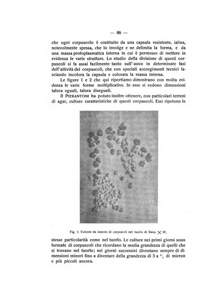 Rivista di fisica, matematica e scienze naturali