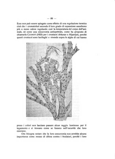 Rivista di fisica, matematica e scienze naturali