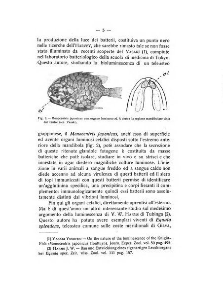 Rivista di fisica, matematica e scienze naturali