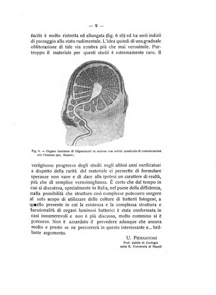 Rivista di fisica, matematica e scienze naturali