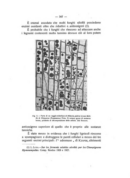 Rivista di fisica, matematica e scienze naturali