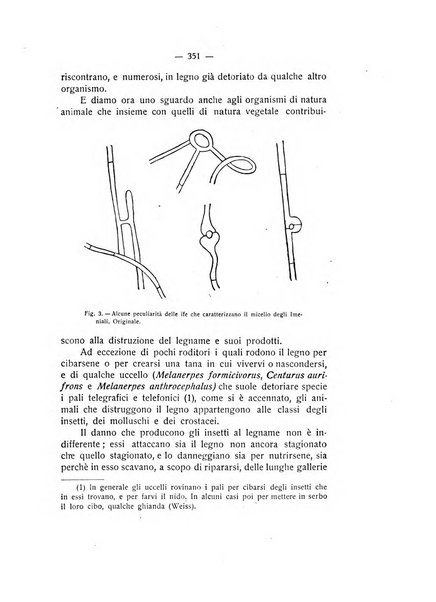 Rivista di fisica, matematica e scienze naturali