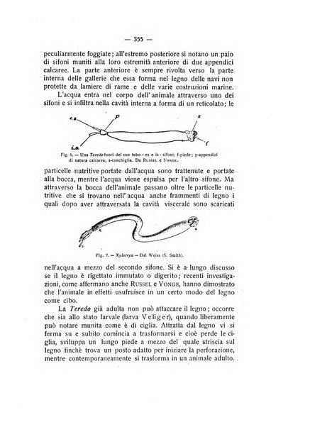 Rivista di fisica, matematica e scienze naturali