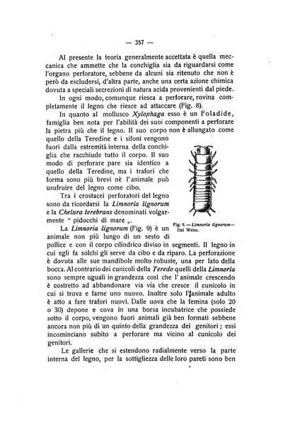 Rivista di fisica, matematica e scienze naturali