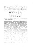 giornale/TO00194090/1928/unico/00000537