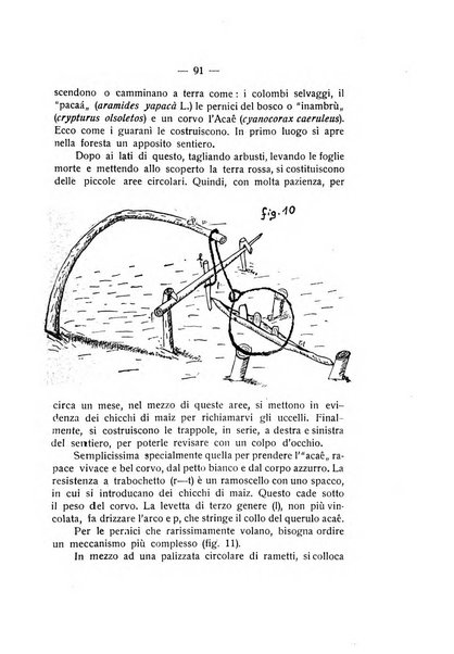 Rivista di fisica, matematica e scienze naturali