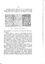 giornale/TO00194090/1932-1933/unico/00000271