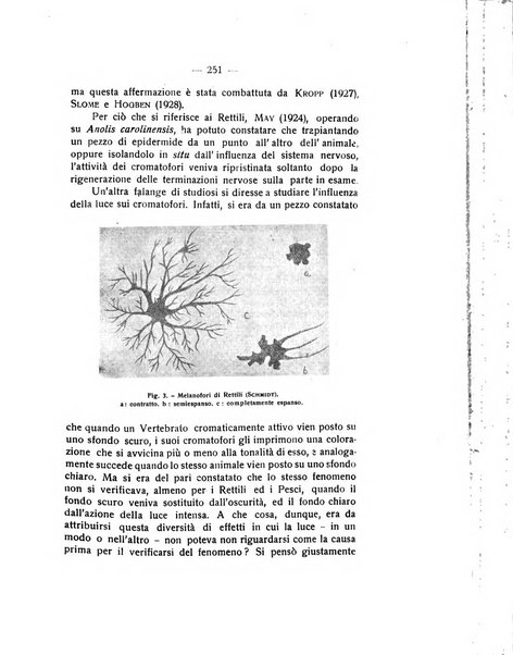 Rivista di fisica, matematica e scienze naturali