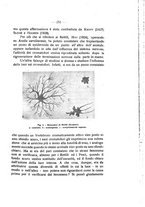 giornale/TO00194090/1932-1933/unico/00000273