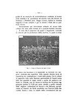 giornale/TO00194090/1932-1933/unico/00000556