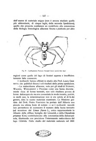 Rivista di fisica, matematica e scienze naturali