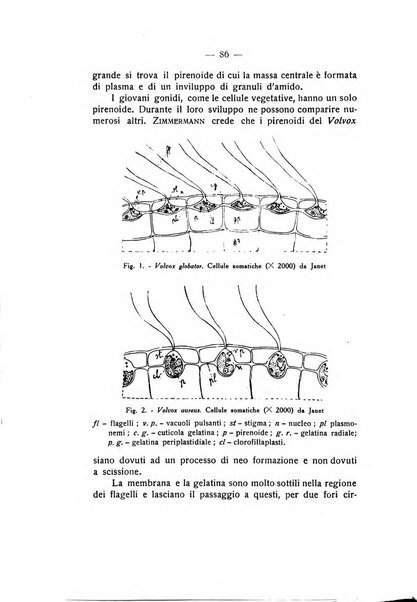 Rivista di fisica, matematica e scienze naturali