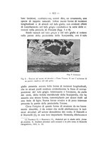 giornale/TO00194090/1933-1934/unico/00000338
