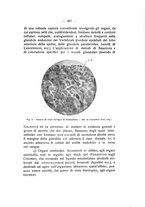 giornale/TO00194090/1933-1934/unico/00000397